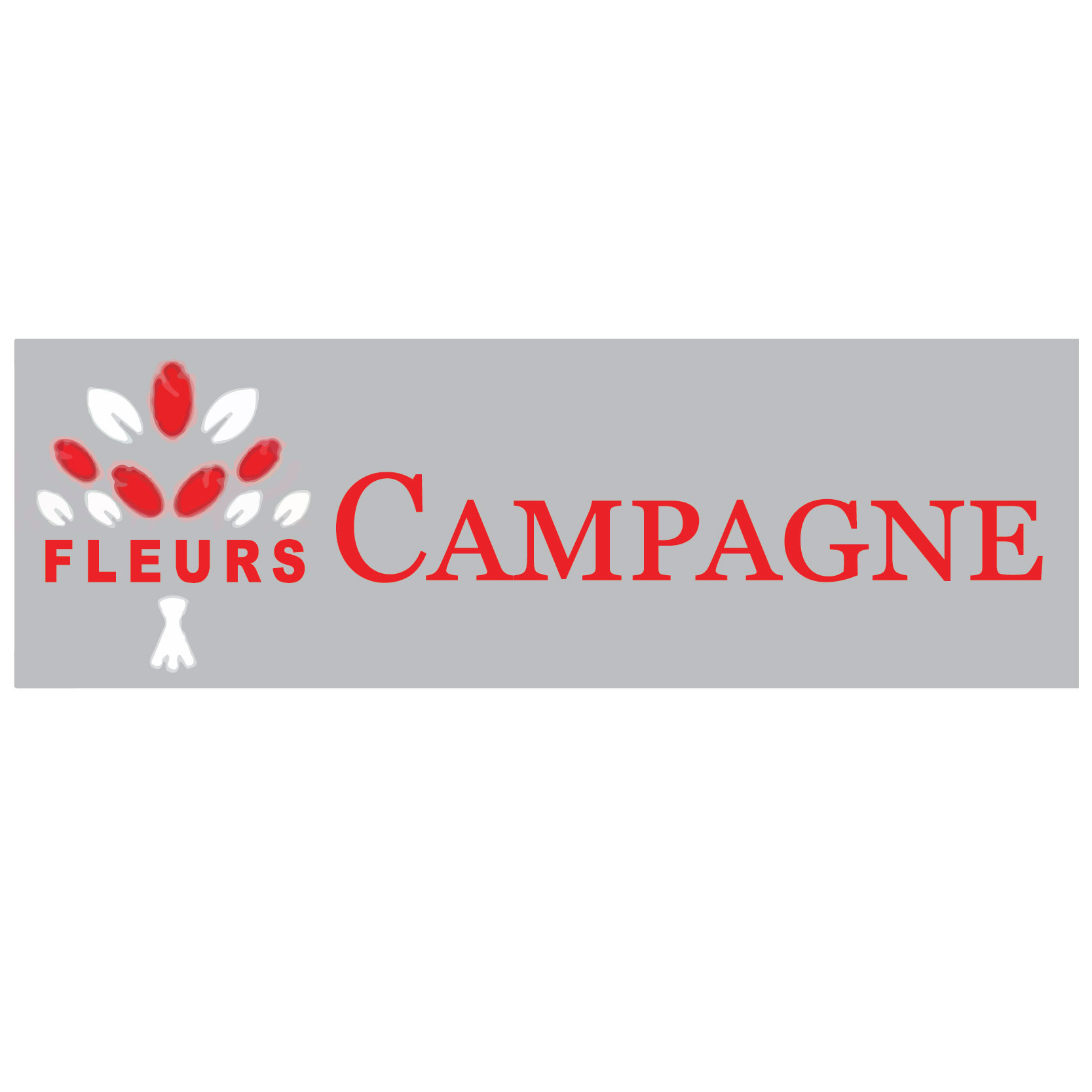 fleur campagne