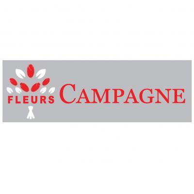 fleur campagne