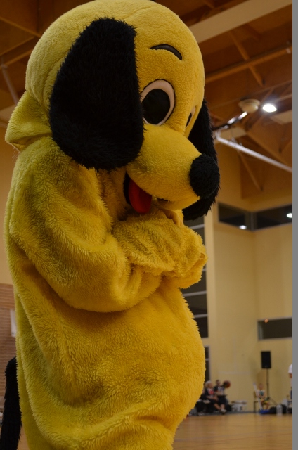 dsc-0100-640x424-2.jpg